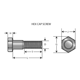 Hex Cap Screw